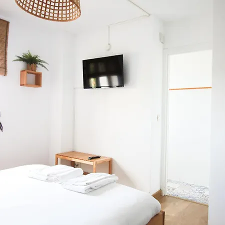 Latas Surf Herberg Loredo